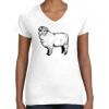 Women's Fine Jersey V-Neck Tee Thumbnail